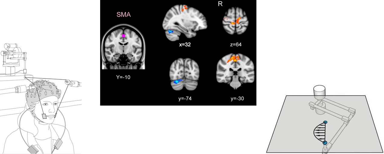 Research depiction at
                the Motor Neuroscience Lab, McGill Univerity with David
                Ostry and Mohammad Darainy